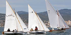 Vela in televisione, ritorna Tva